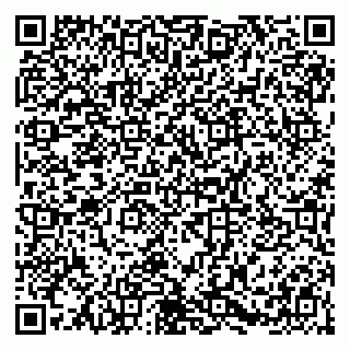 vCard 79054381369