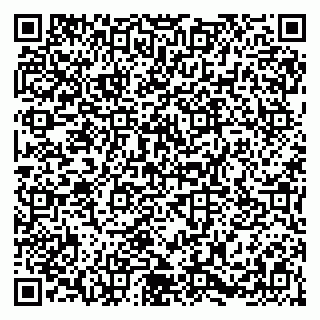 vCard 79054381371