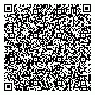 vCard 79054381372