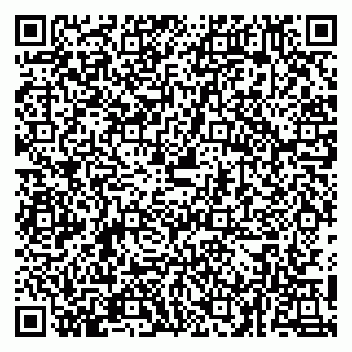 vCard 79054381374