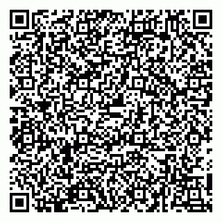 vCard 79054381376