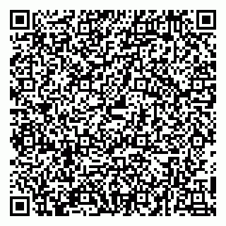 vCard 79054381379