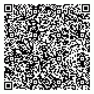 vCard 79054381382