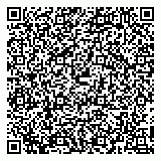vCard 79054381385