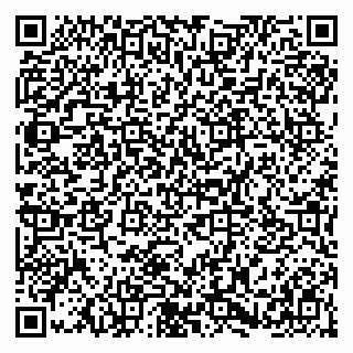 vCard 79054381386