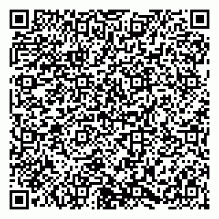 vCard 79054381397