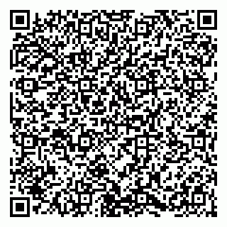 vCard 79054381399