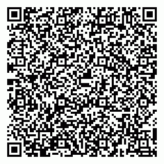 vCard 79054381497