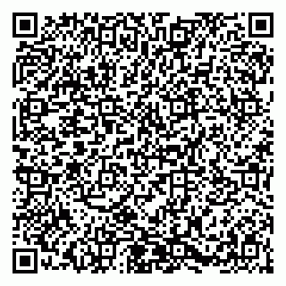 vCard 79054381504