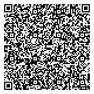 vCard 79054381533
