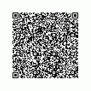 vCard 79054880384