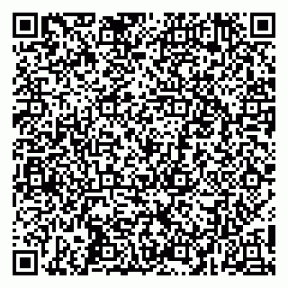 vCard 79055002011