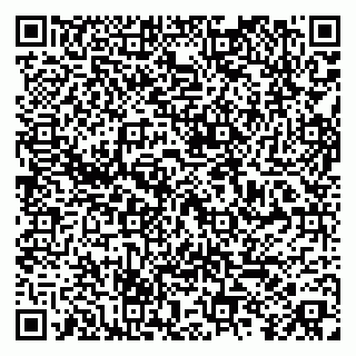 vCard 79055003133