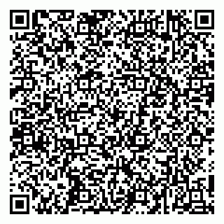 vCard 79055003333