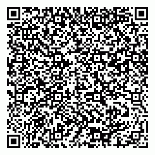 vCard 79061480104