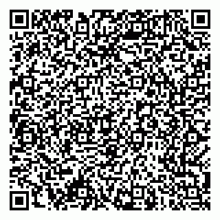 vCard 79061480105