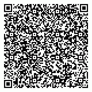 vCard 79061480113