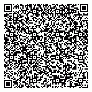 vCard 79061480119