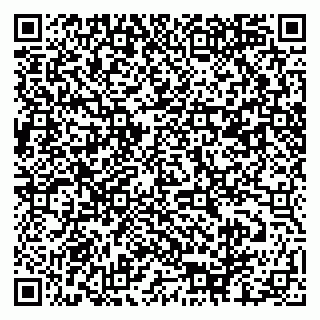 vCard 79061480129