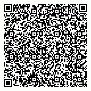 vCard 79061480193