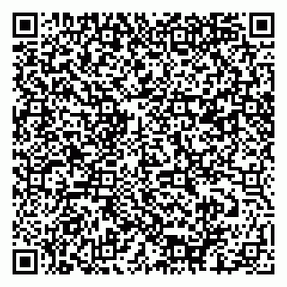 vCard 79061480199