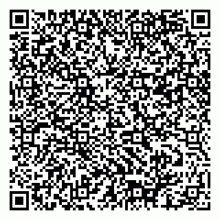 vCard 79061480294