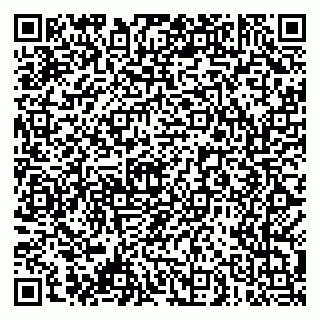 vCard 79061480313