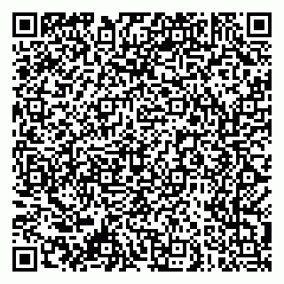 vCard 79061480321