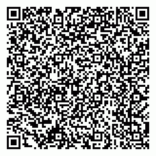 vCard 79061480335