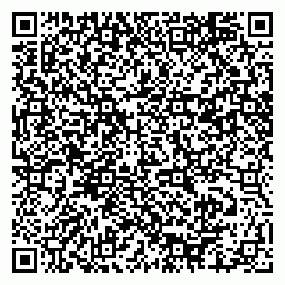 vCard 79061480353