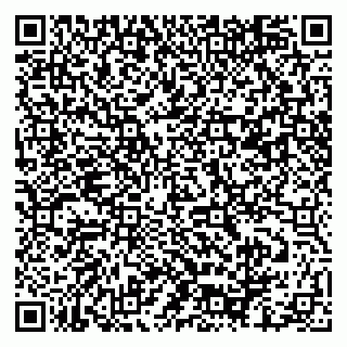 vCard 79061480372