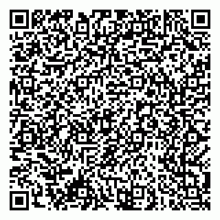 vCard 79061480378