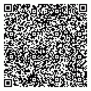 vCard 79061480392
