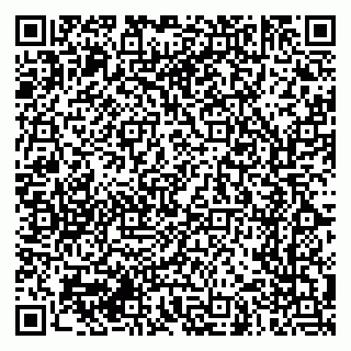 vCard 79061760386