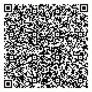 vCard 79061760387
