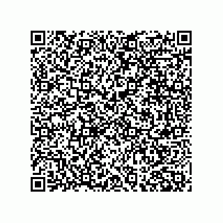 vCard 79062100240