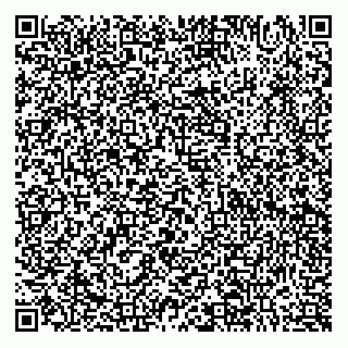 vCard 79062384386