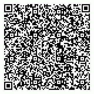 vCard 79063200039