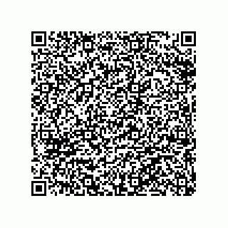vCard 79063480001