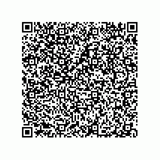 vCard 79063480002