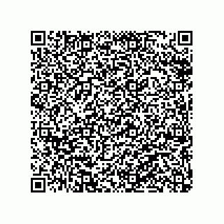 vCard 79063480003