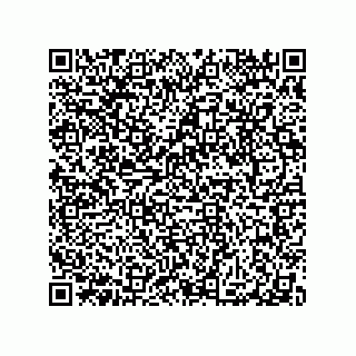 vCard 79063480004