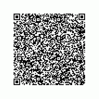 vCard 79063480005
