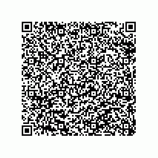 vCard 79063480008