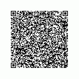 vCard 79063480009