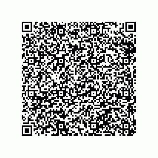 vCard 79063480011