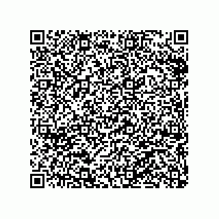 vCard 79063480013