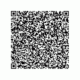 vCard 79063480017