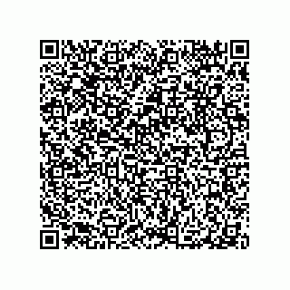 vCard 79063480018
