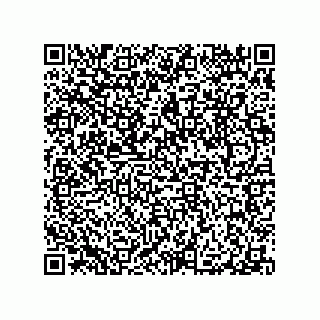 vCard 79063480019